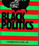 Black Politics - A Theoretical and Structural Analysis