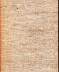 Eine Geschichte der deutschen Literatur