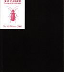 Am Erker - Zeitschrift für Literatur Nr. 40 - Winter 2000