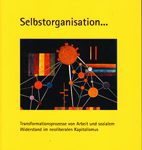 Selbstorganisation - Transformationsprozesse von Arbeit und sozialem Widerstand im neoliberalen Kapitalismus
