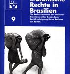 Indianische Rechte in Brasilien - Die Rechtssituation der Indianer Brasiliens unter besonderer Berücksichtigung ihres Rechtes auf Boden