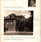 Sonette und andere Gedichte - Aus der "lingua felina" in die "lingua humana" übersetzt von Erika Schlipf