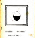 Gefülltes Spiegelei - Lyrische Texte